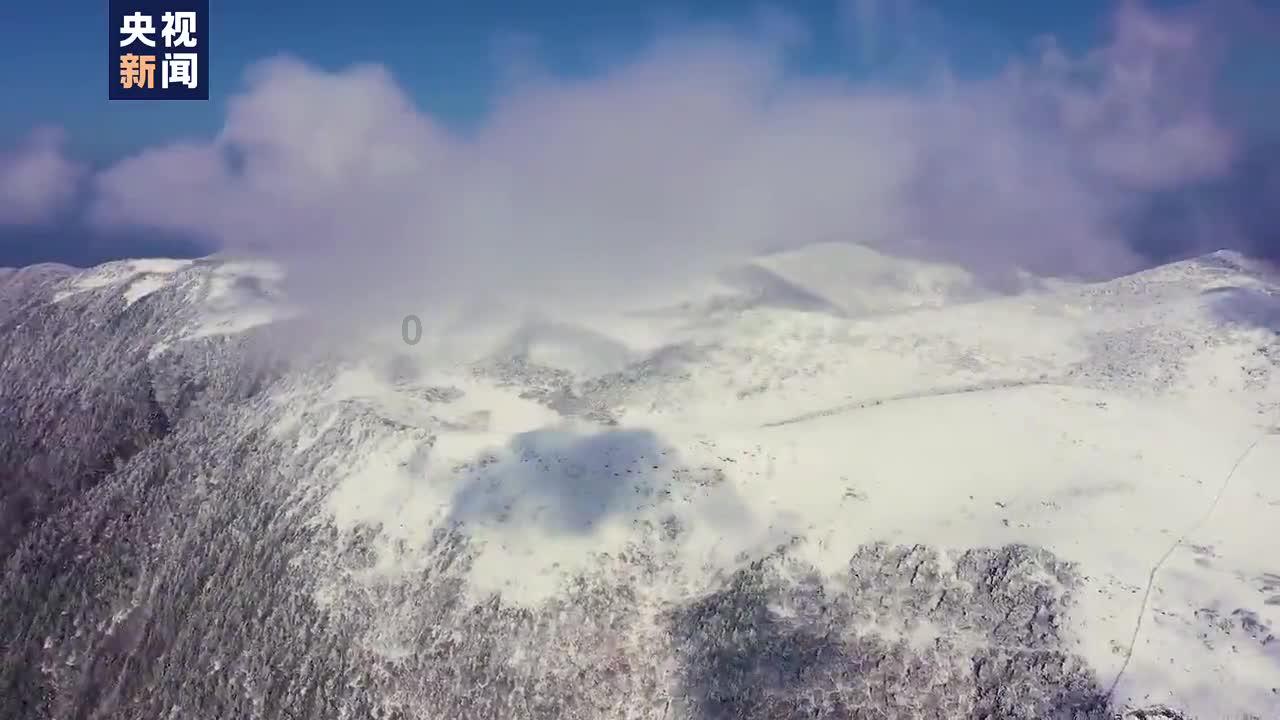 外地人到北京旅游，应该买点什么北京特产？游戏画面