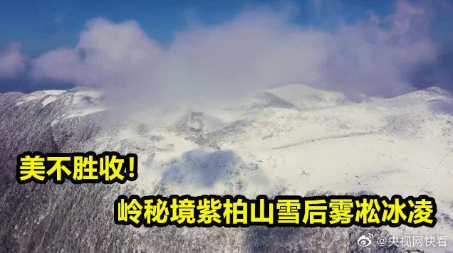 奔跑吧6