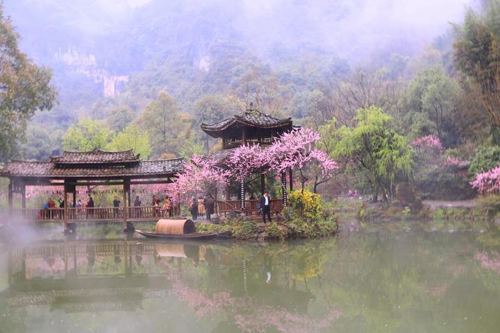 拯救精灵的土地8