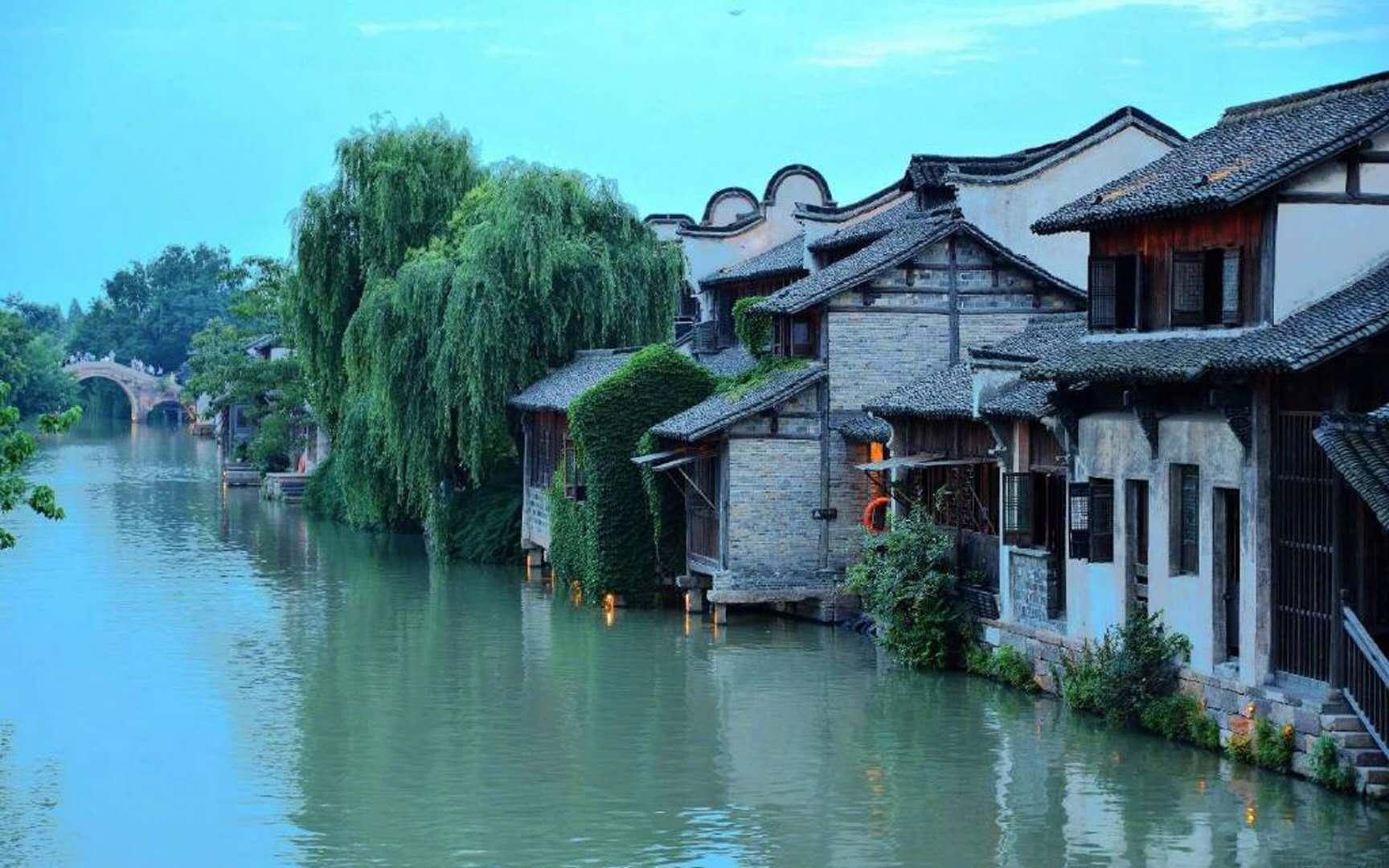 逃离棕榈树森林